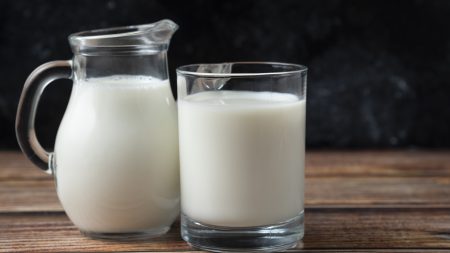 Lactoferrine : dans quels aliments la trouve-t-on naturellement ?
